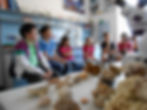 Lab Bio