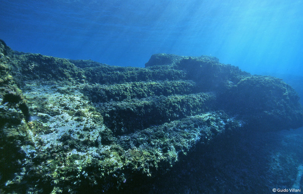 Gradini sommersi_© G. Villani