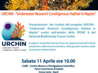 11-04-26 > Progetto URCHIN: risultati e spunti di riflessione
