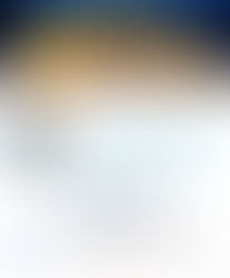 11-04-26 > Progetto URCHIN: risultati e spunti di riflessione