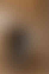 Multifunkční domácí kancelář, integrovaná do vestavěné skříně