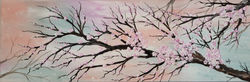 Sakura 12x36