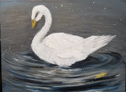 Swan