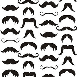A origem do BIGODE.