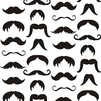 A provavel origem do termo "bigoth" é de "visigoth".Um povo originário do leste europeu,que vivia na Península ibérica e eram conhecidos pelos grandes bigodes.Em inglês bigoth siginifica Uma pessoa que haje de forma injusta não gosta de outras pessoas, idéias, etc.: uma pessoa intolerante.