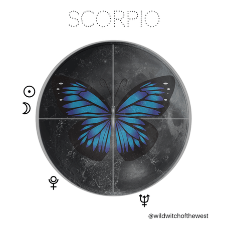 Magical Metamorphosis :: Scorpio New Moon