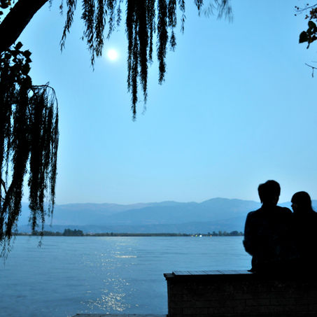 Looking for a Partner? Use Your Descendant