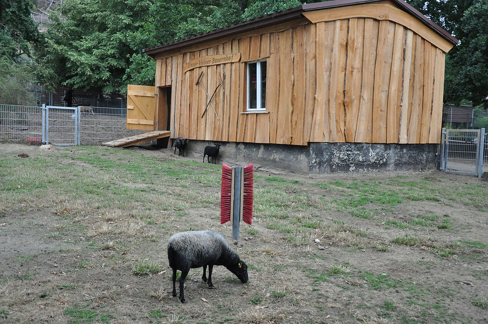 Tierpark-Westerhausen-8.jpg
