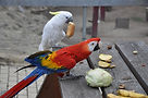 Tierpark-Westerhausen-6.jpg