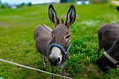 web_DSCF1345-3.jpg