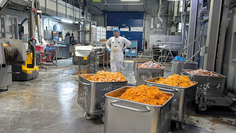 4c_In-der-Produktionsstätte_-von-Benjamin-Telm.jpg