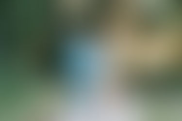 Ben & Stacey Maternity| Alpine Groves Park, St. Johns, FL