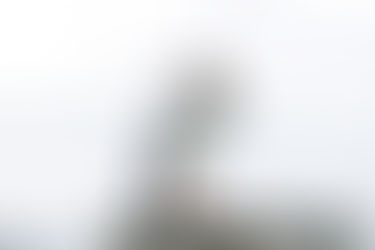 Washington Oaks Engagement Session | Palm Coast, FL