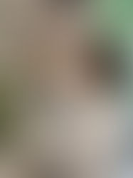 Waarom Authentic Beauty Concept Anders is dan Andere Haarproducten