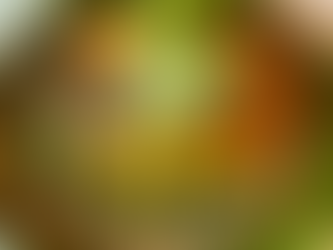 Lunch at Otakoï – Soulful Food on Chapel Street, Windsor