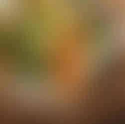 Otakoï’s handmade varenyky 