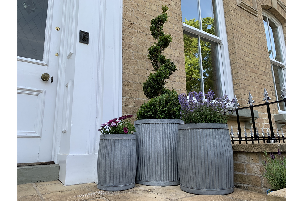 Galvanised Planters Set of 3