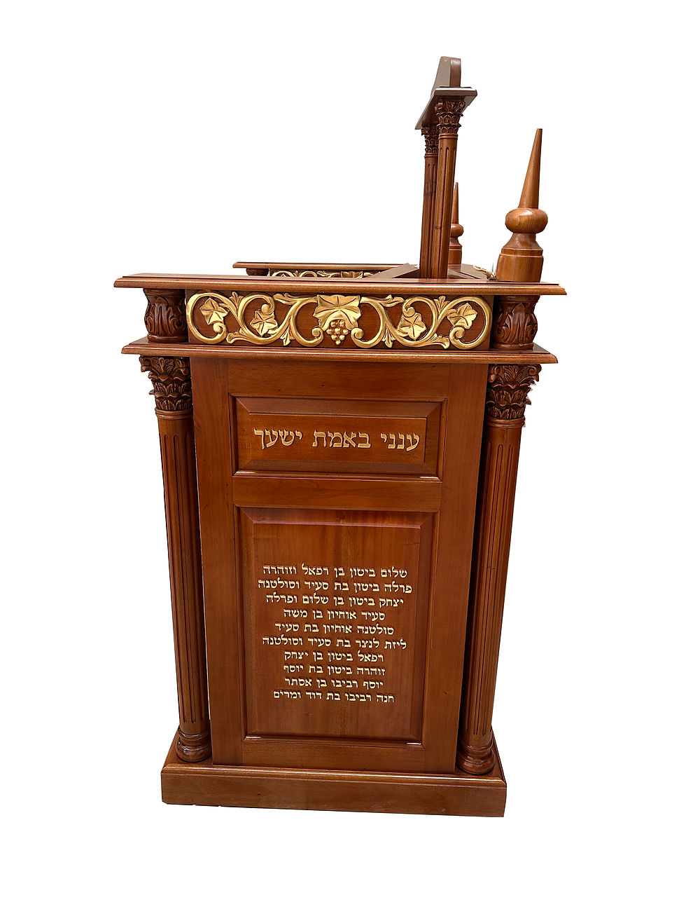 תמונה ממוזערת: Front teva-17