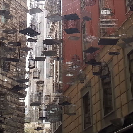 Quirky Facts About Sydney That Will Surprise You