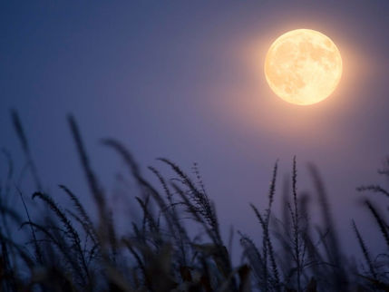 How to Receive from September's Full Harvest Moon