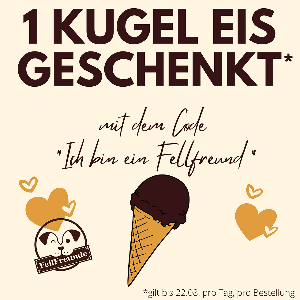 Eröffnungsangebot