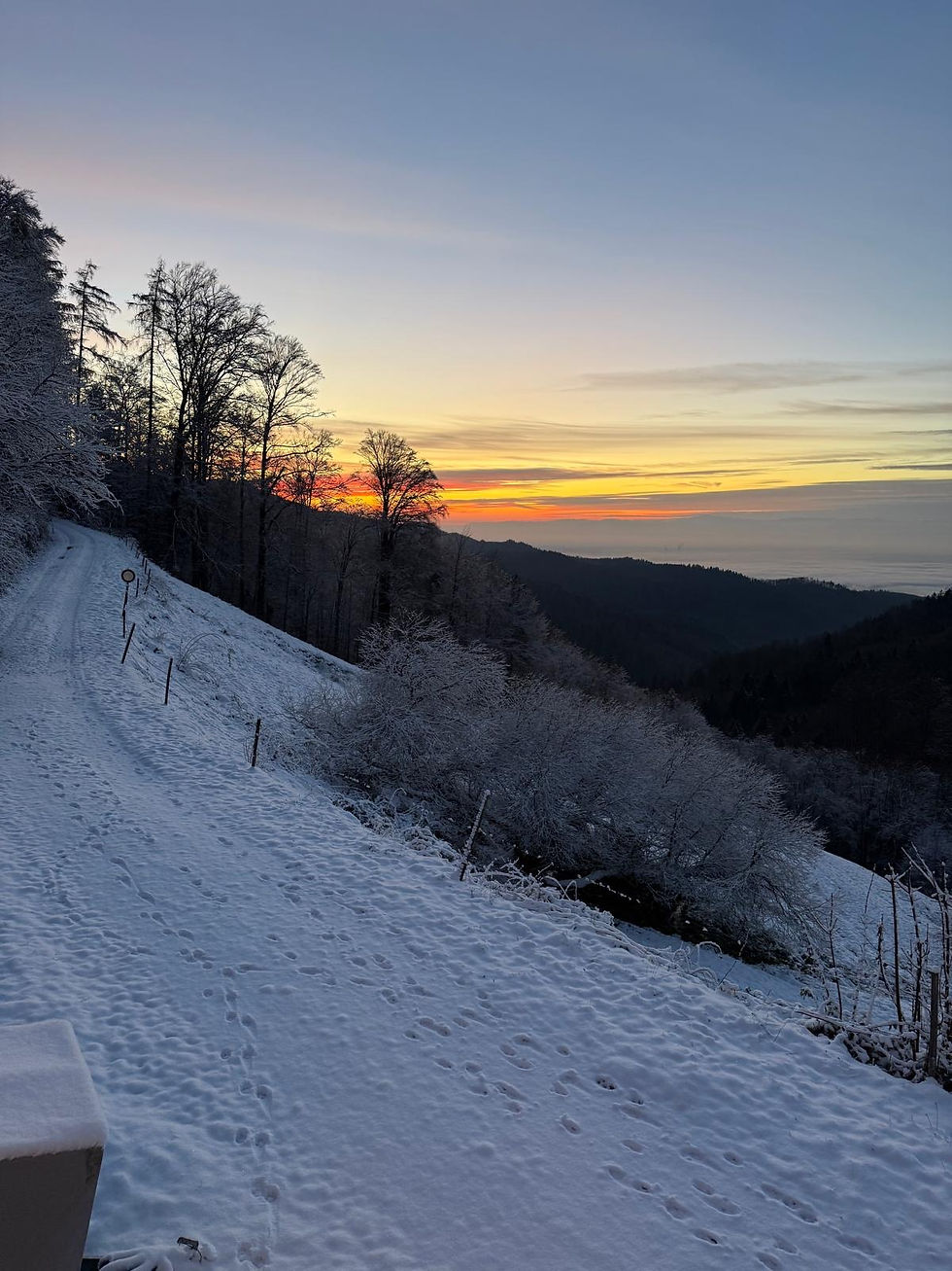 397e0eee-b927-42fd-9e72-a26075e0f017