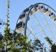 DSC_0012.JPG