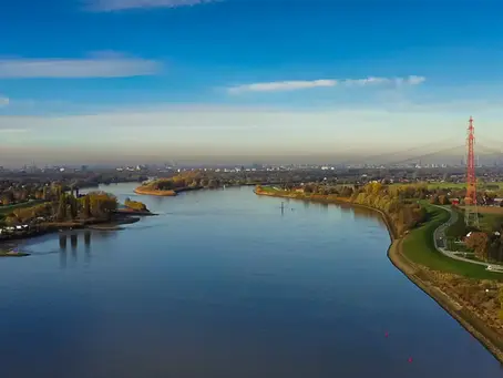 Fischbestände in der Unterelbe extrem eingebrochen