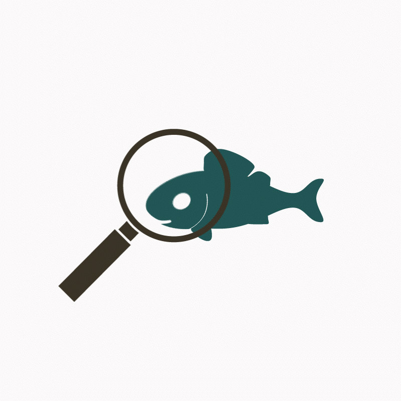 AllgemeineFischkunde_anim.gif