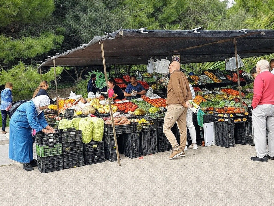 estepona wednesday market