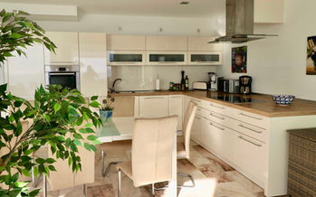 View of modern kitchen island and natural decor.