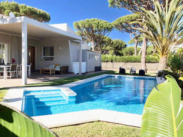 Private swimming pool framed by green lawns and pine forest.