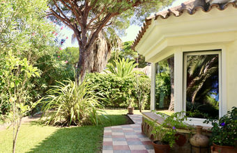 Entrance path framed by palm trees and tropical plants.