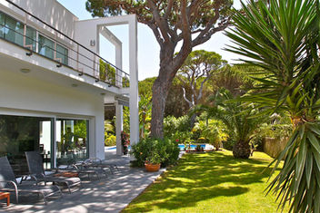 Garden path with lush planting and pine trees