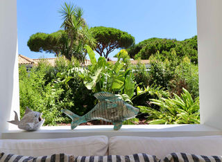 View from living area towards pine trees and green garden.