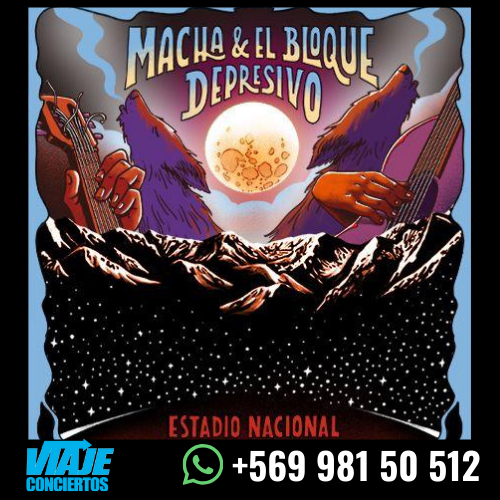 Bloque Depresivo / 20 de Diciembre / Estadio Nacional