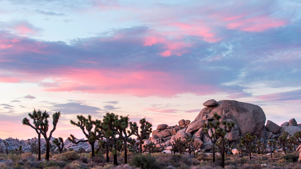 Picturesque Cap Rock in the central part of Joshua Tree National Park, CA