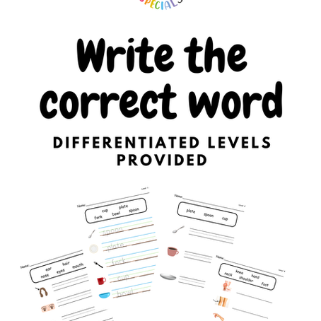 Read and write the correct word worksheets