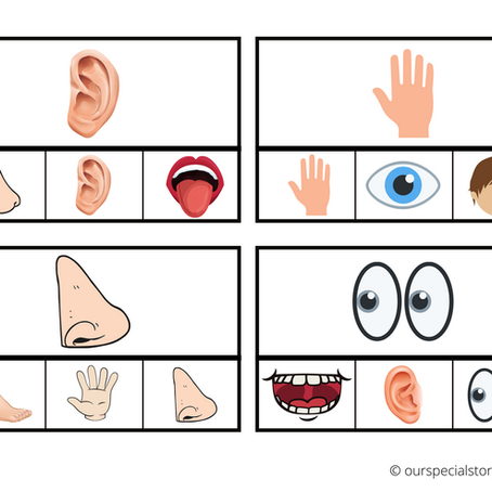 Body Parts Clip Cards!