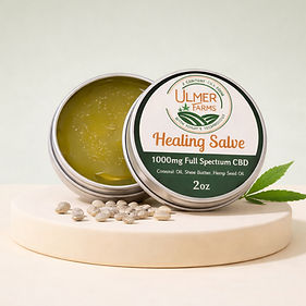 ChatGPT Image Feb 9, 2026 at 04_55_57 AM_edited.jpg