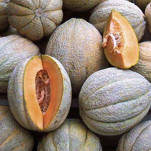 Melons