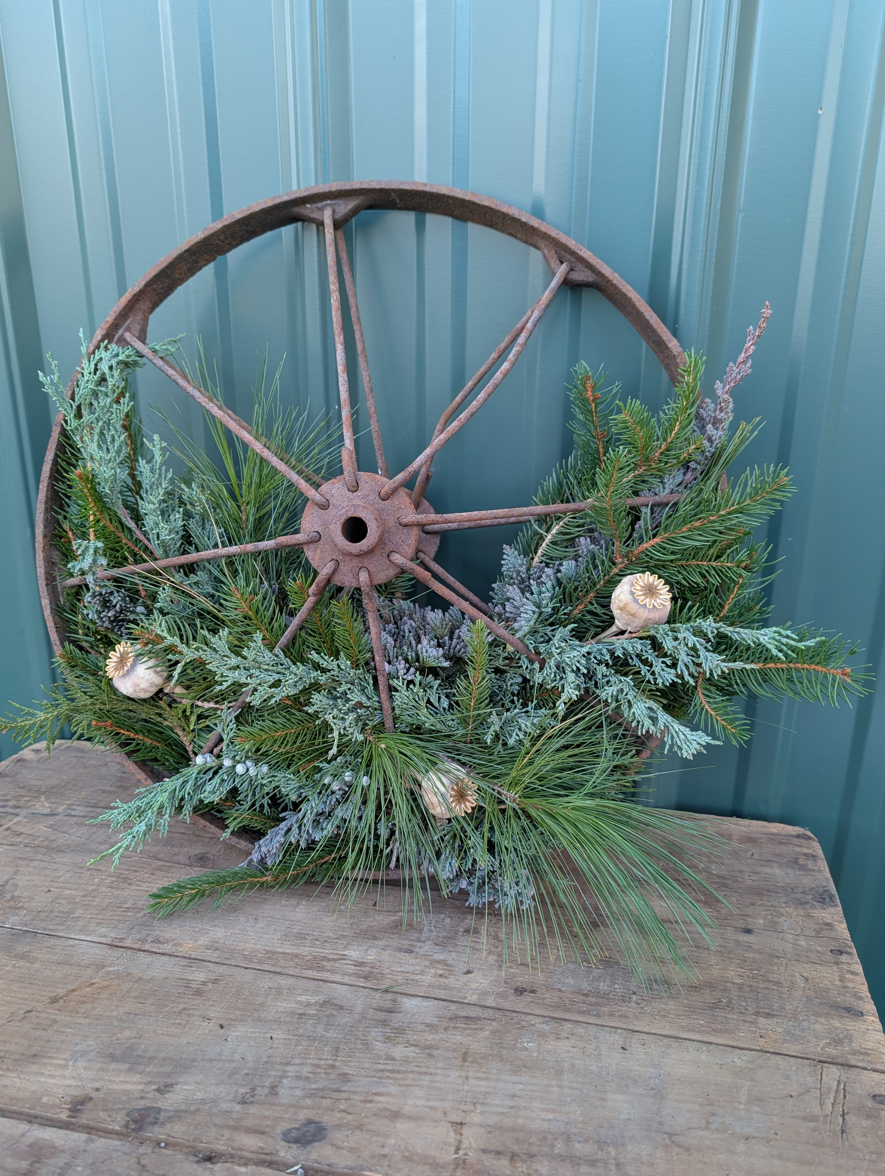 Evergreen Wheel 