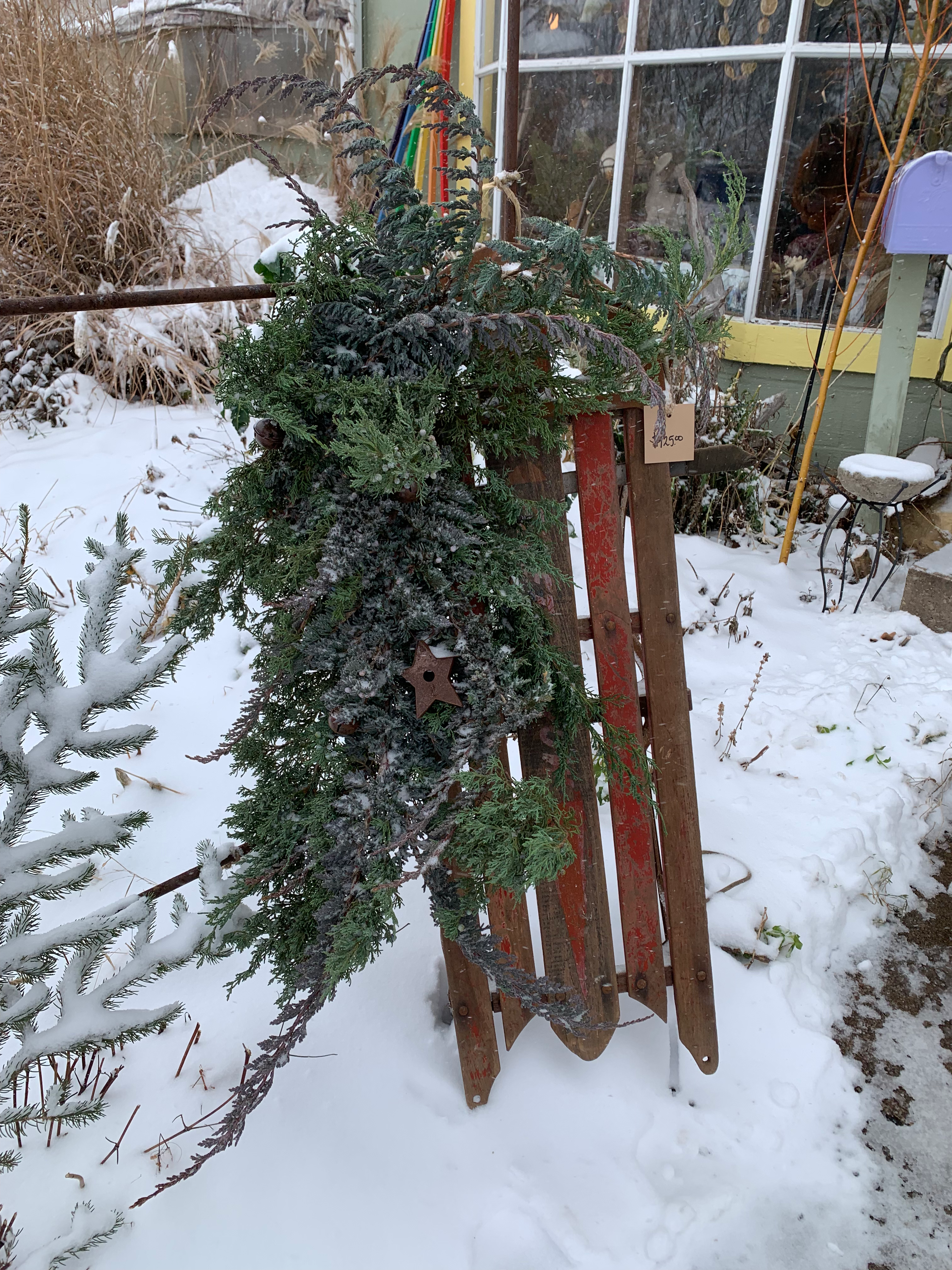 Juniper Evergreen Sled with birdhouse and bells 