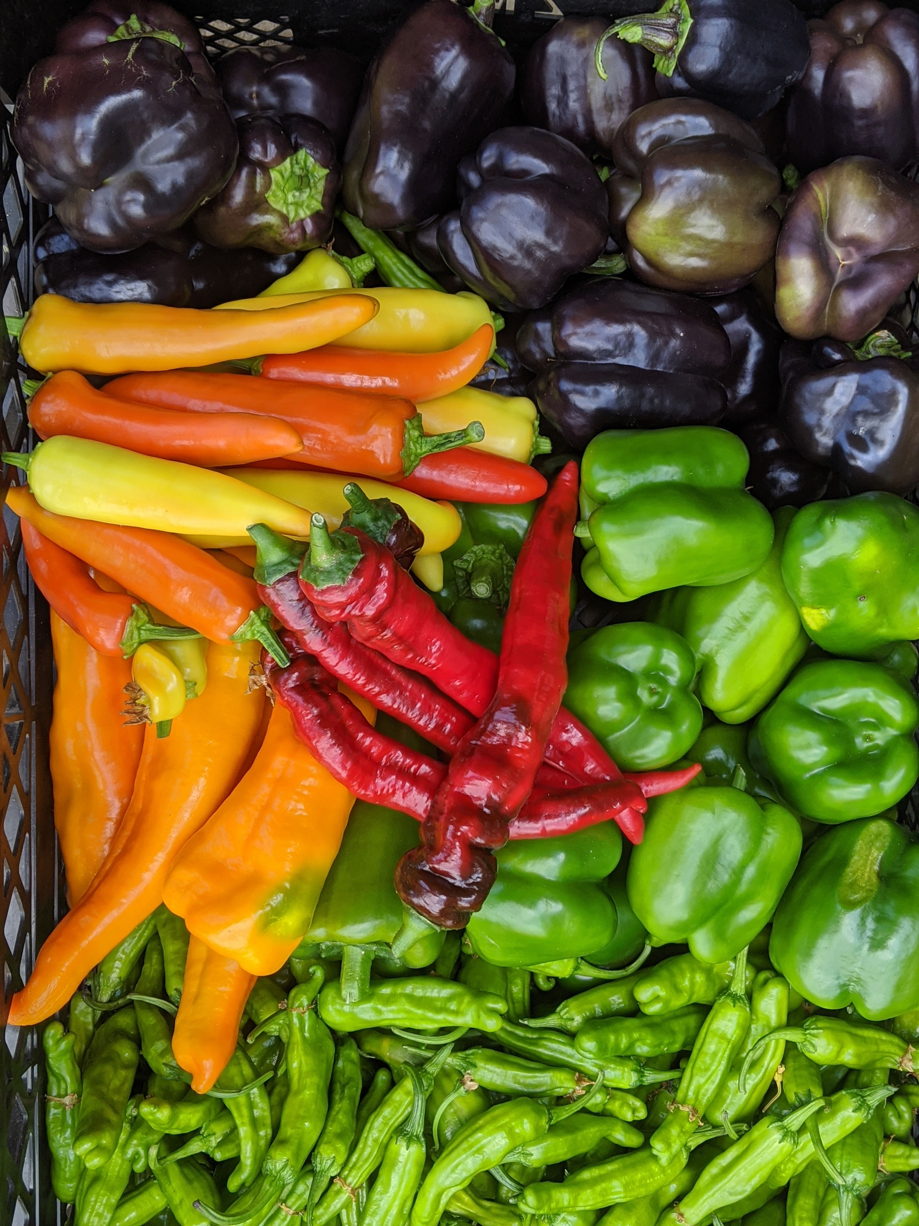 Peppers, Sweet