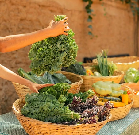 Weekend constellations systémiques sur la relation à l'alimentation