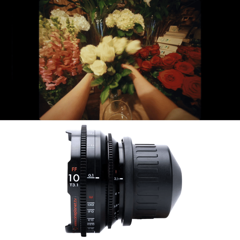 Cover1-ezgif.com-video-to-gif-converter 11.58.13.gif