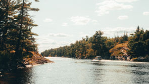 Why is Nature Good for Us?