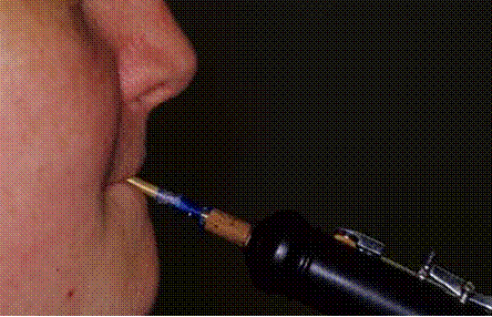 Image3.gif