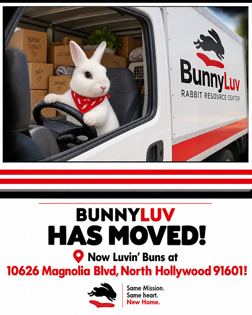 BLuv Moved.png