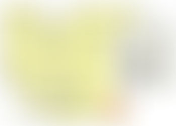 THE DUAL KEY CONCEPT OF DEVELOPMENT